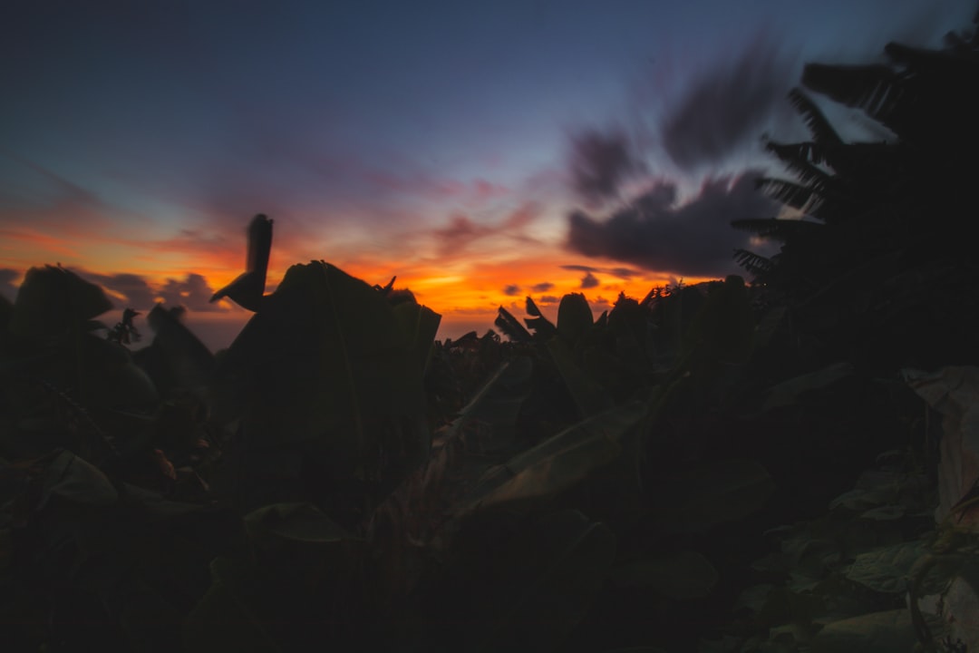Luxury vs. Affordable: Finding Your Perfect Outdoor Travel Experience Luxury vs. Affordable: Finding Your Perfect Outdoor Travel Experience