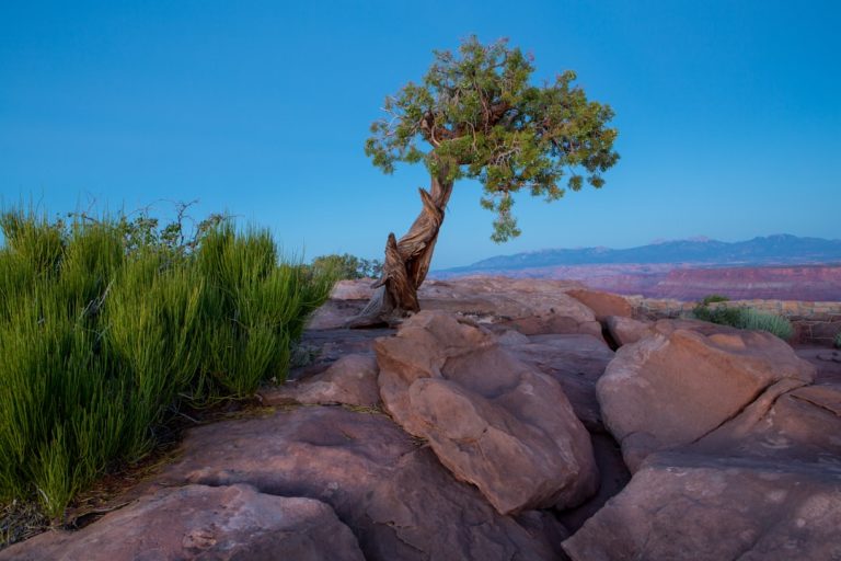 The Art of Budget-Friendly Adventure: Exploring the Outdoors on a Shoestring